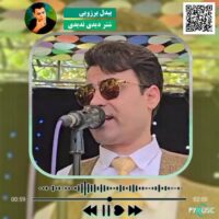 دانلود آهنگ شتر دیدی ندیدی بیدل برزویی